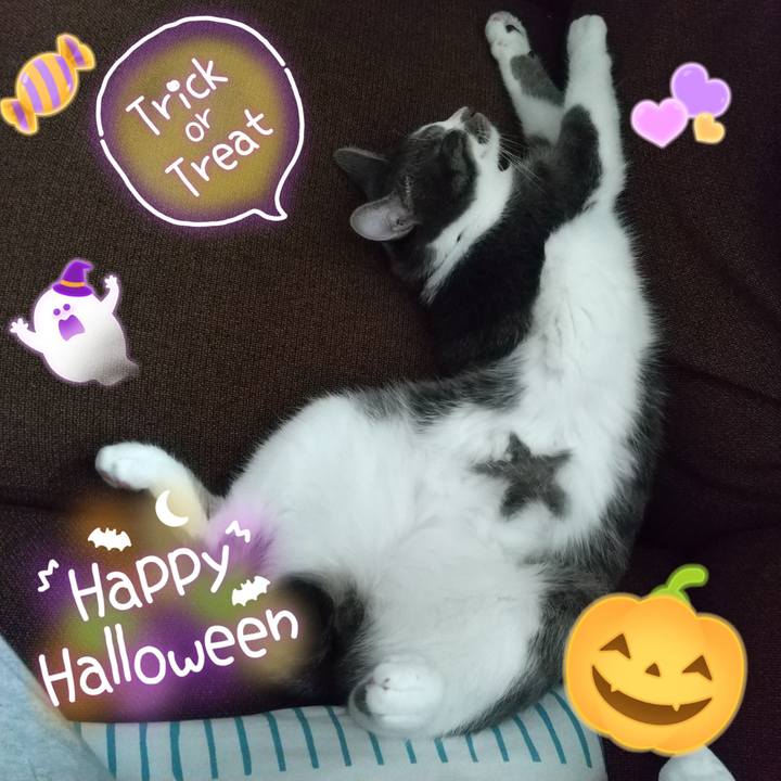 Ab11860f 590e 40cd 8aa0 2c43695fd3f1 1604105558950