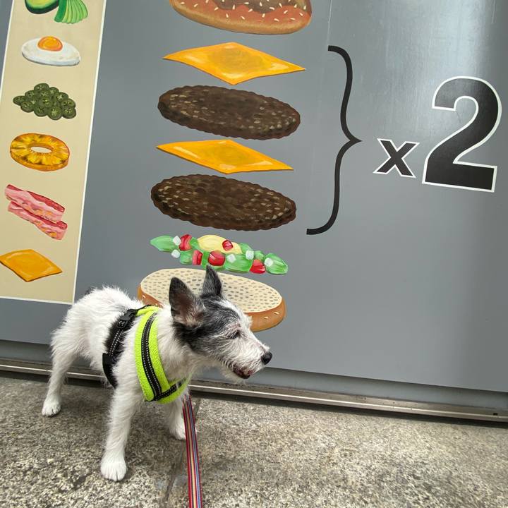 Ab11ef25 b51c 4d09 8d3d 7d3d66f84c5b 1594426403982