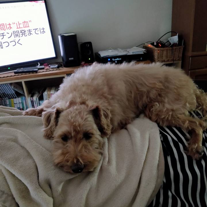 Ab11f475 c737 4d46 84ae a2b2fe12c21b 1589705806387