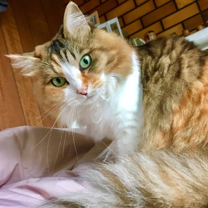 Ab120848 35ed 4b9d a585 5b2b8bd58686 1562562239678