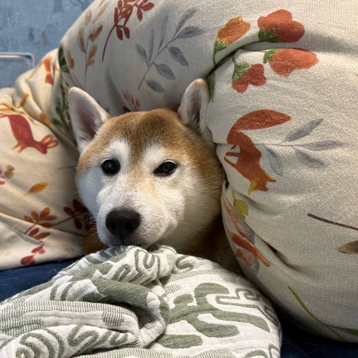 Ab121238 eb4b 4574 8908 994e30491dba 1730899428572