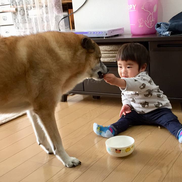 Ab121582 c396 4c7c 82c5 364aa83d7b74 1575167837944