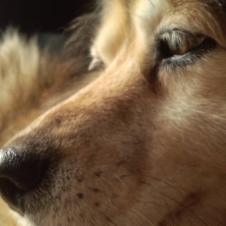 Ab1230f0 684d 4eb1 9265 4c4cab02b857 1608991726553