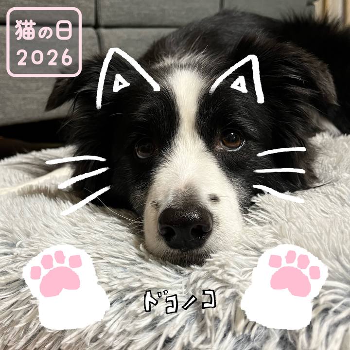 Ab123836 5132 4ae3 8c35 d668910b38d9 1771714576714