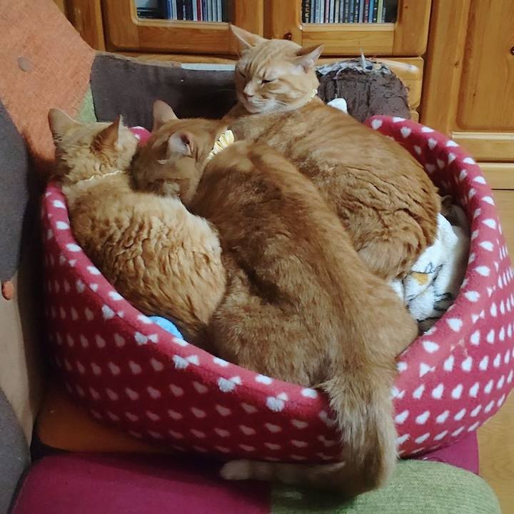 Ab1247c3 5b07 46a6 b80d 857dd6b1cabb 1696776689675