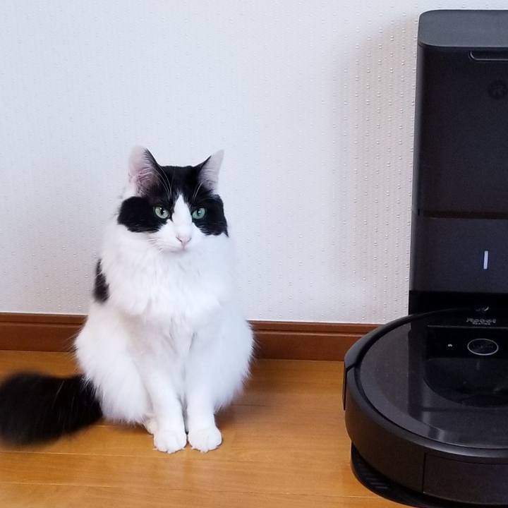 Ab126da6 f66d 49f8 b34b 89f9205cf337 1583314474708