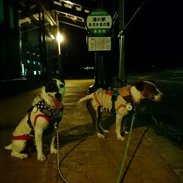 Ab127c5b 6ed3 4503 8bef 7889512b9f97 1567252776088