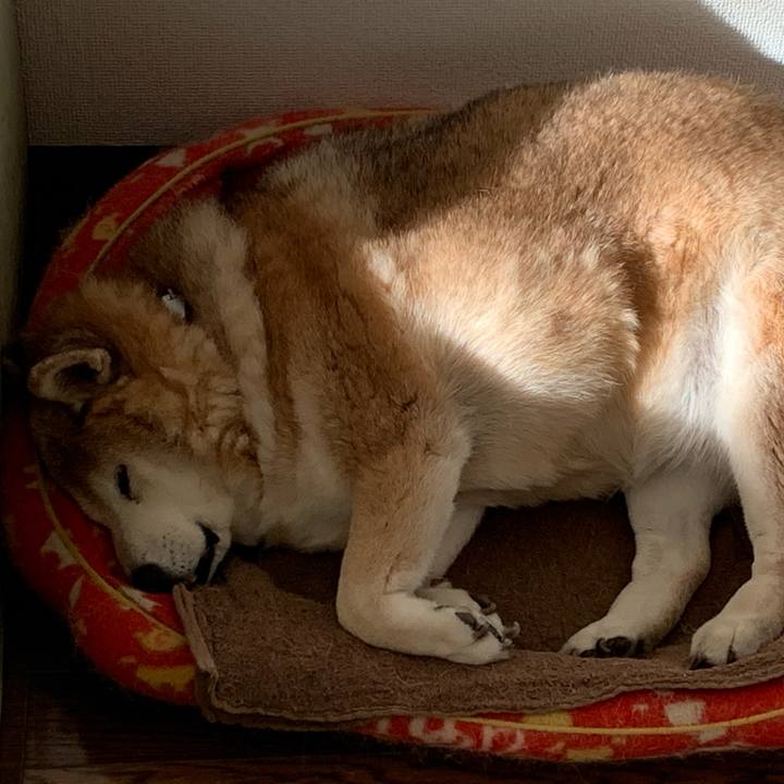 Ab12d965 7176 4088 9594 5493282fcbeb 1615020497268