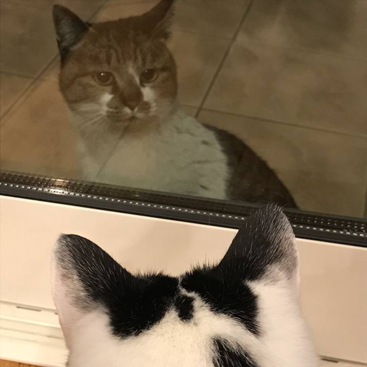 Ab1320f1 4f26 4072 b84d eac1bb0b7b9d 1553430122547