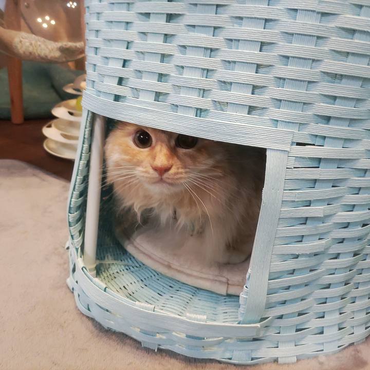 Ab13256b 5cdd 410e b062 f129c3e550fa 1686536317370