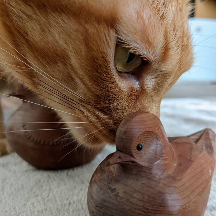 Ab13a0b5 b596 4ea4 aa90 3e6c4f02b904 1667716706950