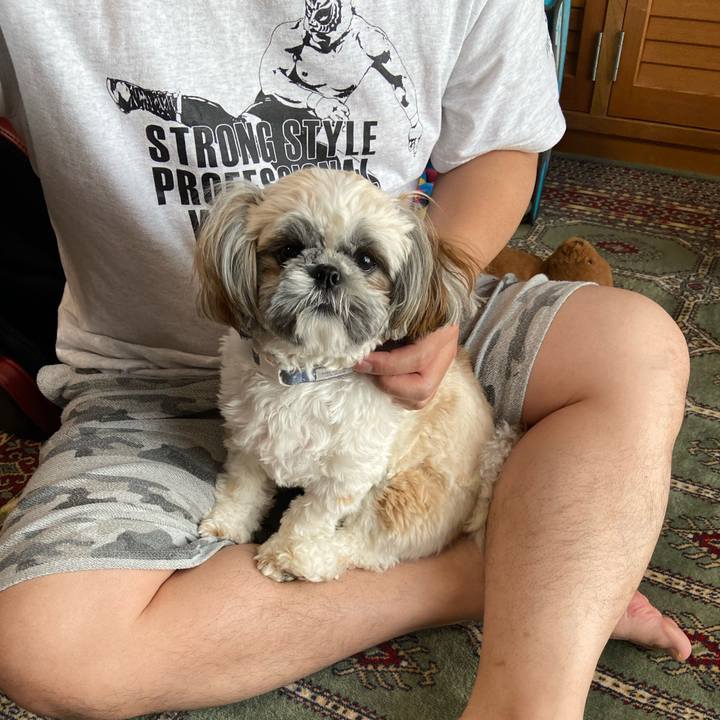 Ab13a2c7 cc04 436a a33a 8b403eea89c6 1650857164974