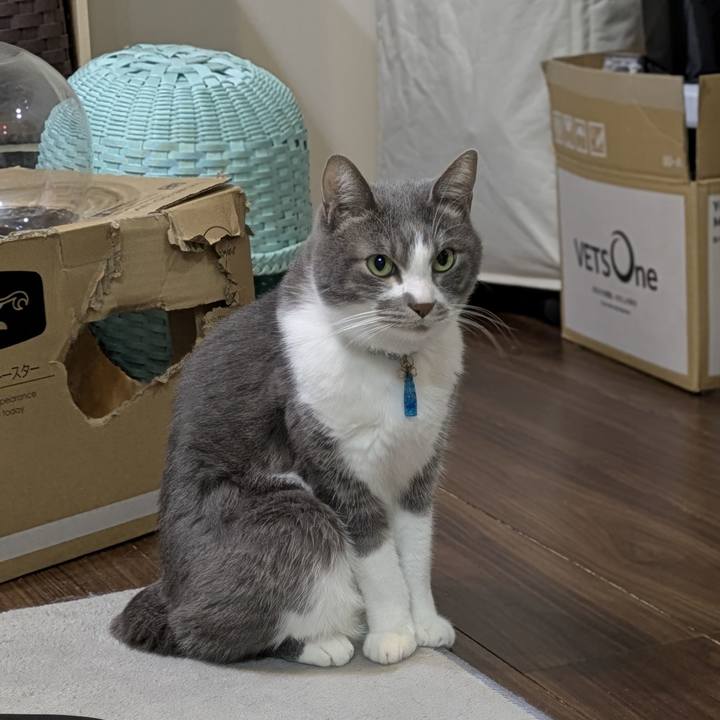 Ab13bcfc 5165 47cd 9b30 dc7146827abd 1767195215913