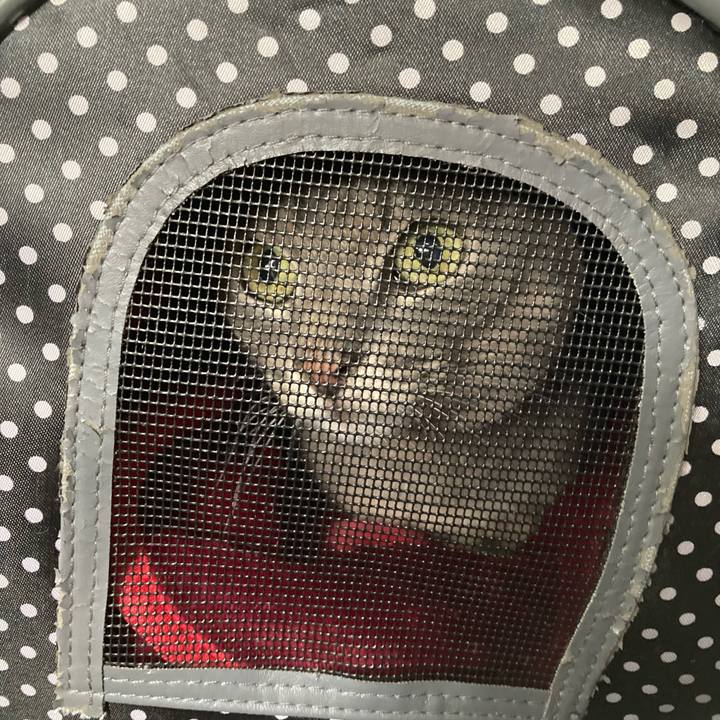 Ab13fae9 bbe8 4d02 95cb 633a25d496b4 1665196958117