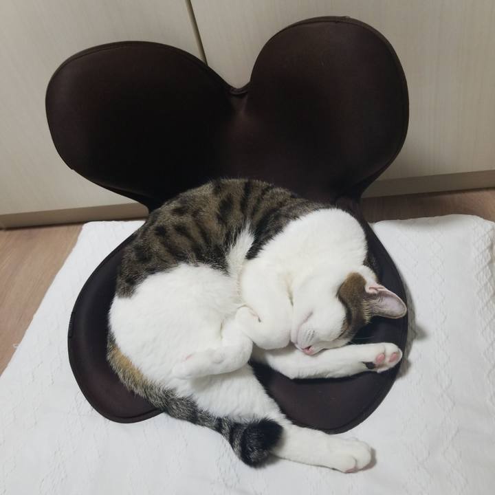 Ab140ec7 a5dd 48c0 b943 135d5953502c 1586085095013