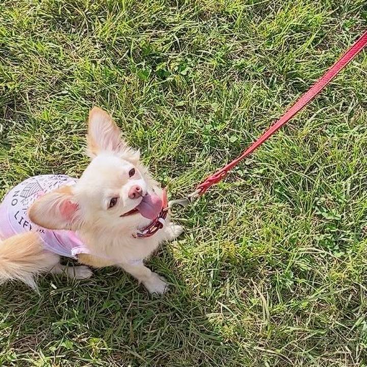 Ab141a0a c15e 4e62 b884 357751a64001 1633245728298