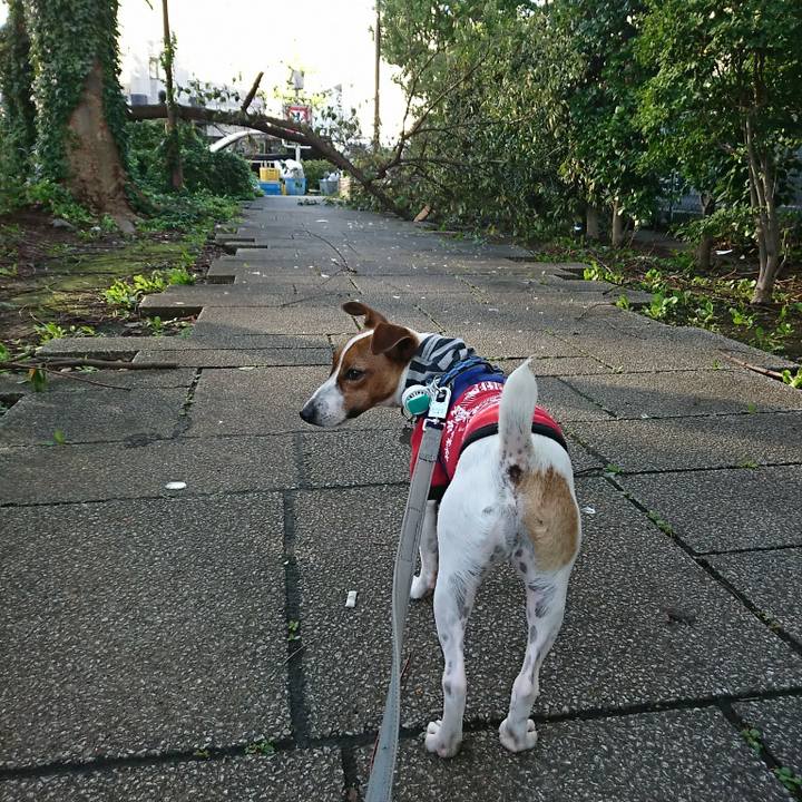 Ab14291d 308d 4c31 91e7 2bb5b547ccb3 1538347080463