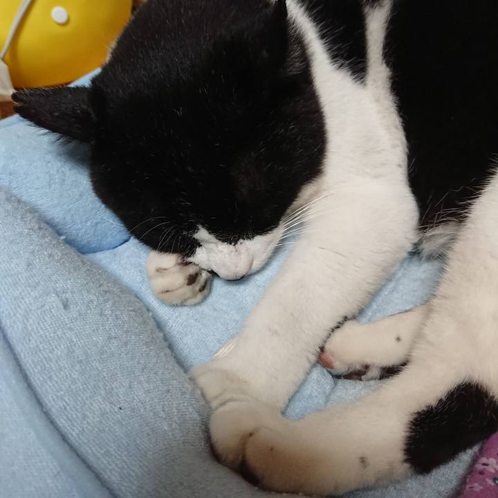 Ab148a5a 84e4 43d4 a8b2 af4511ee0380 1528803100914