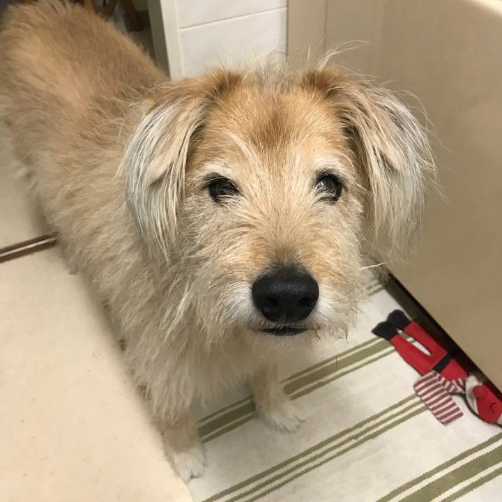 Ab14a5ad e89e 4392 96ab 885fb05a040d 1551134367596