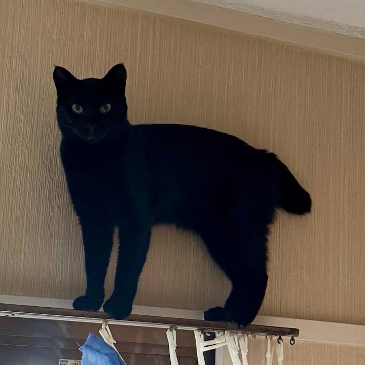 Ab14b6a4 e357 4984 9356 3c1e63c5ca5b 1750854159378