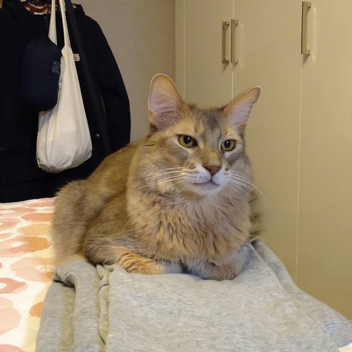 Ab14b80a ea6f 467b 9d10 0c2deaa31776 1602921249692