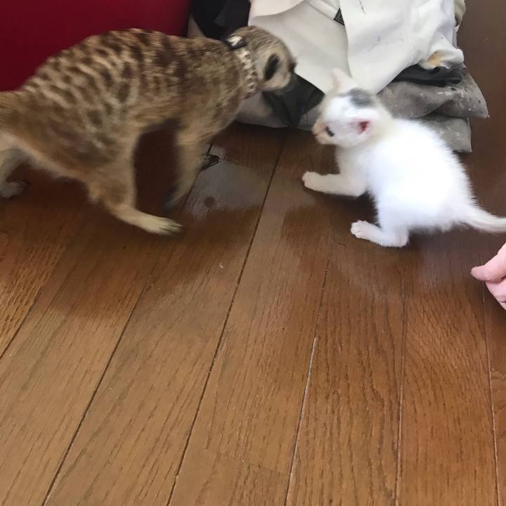 Ab150d58 e490 4025 9850 1aaddb73435c 1591331896514