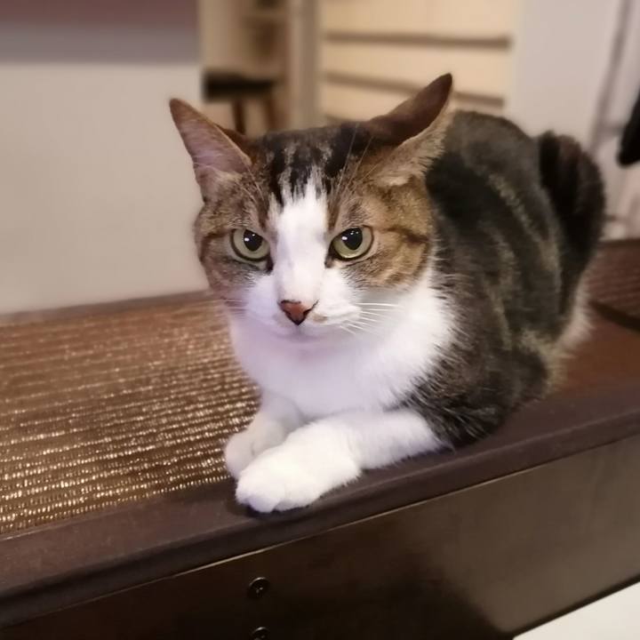 Ab150f24 4e44 4b72 b310 beba18f36df1 1607945743367