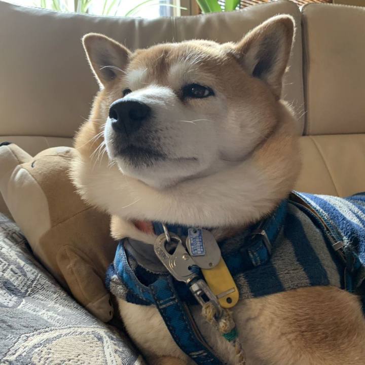 Ab151389 e4bd 45b3 99d0 232aa1e9c0f2 1550886483587