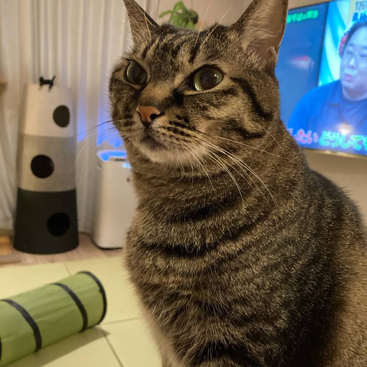 Ab153191 f893 4e74 9c50 45e0427e0963 1643112732503