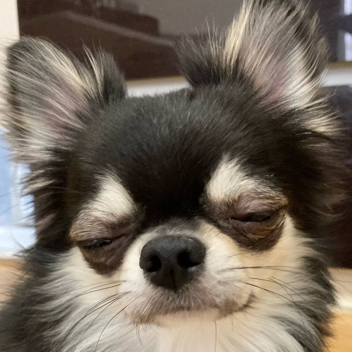 Ab1568df b7aa 468f 8a68 5c595e0f6094 1622867016491