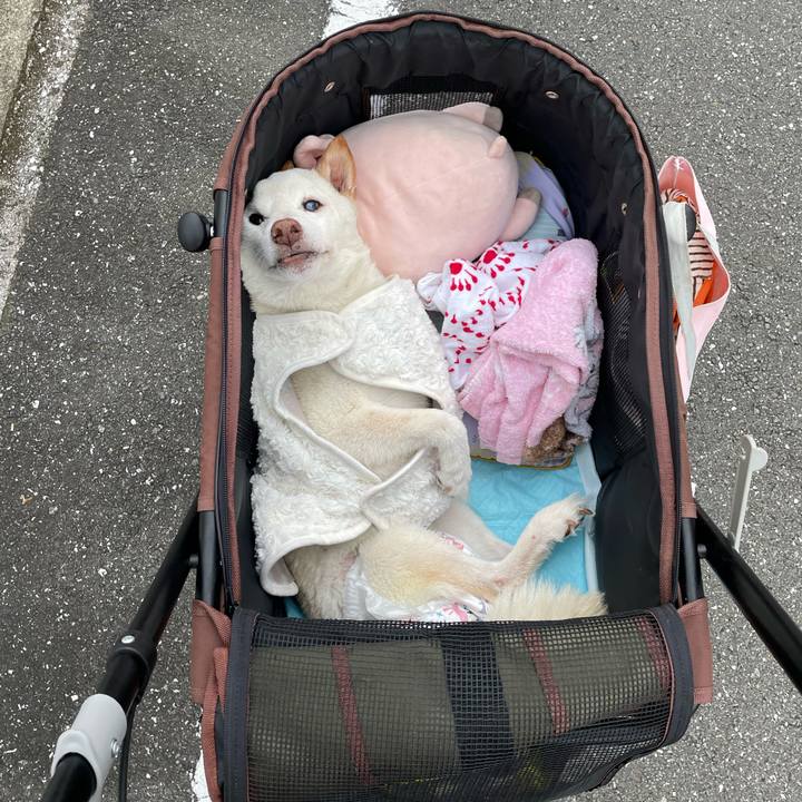 Ab1572a6 3e3b 4110 a553 b775b18f35bc 1665315011500