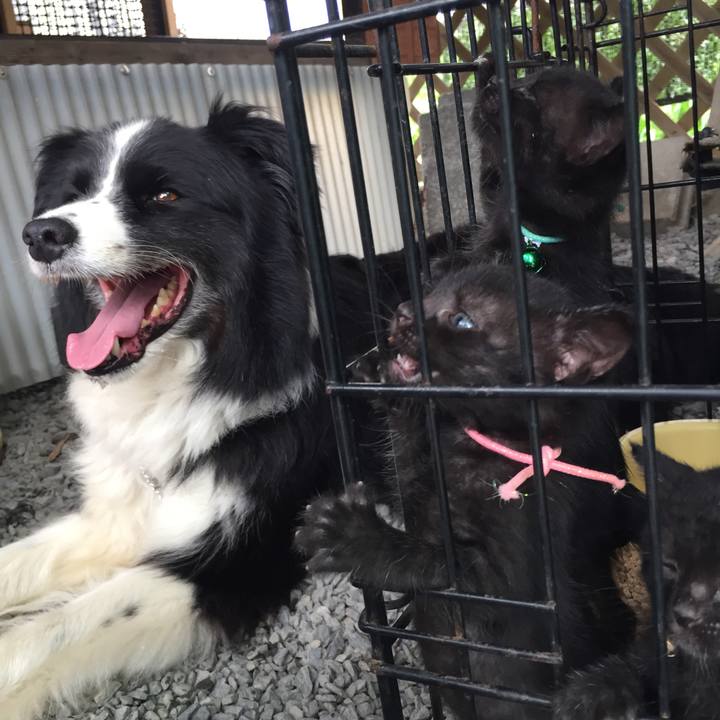 Ab1576e5 e3a9 475d 91bc 44ca84308e9b 1564016090945