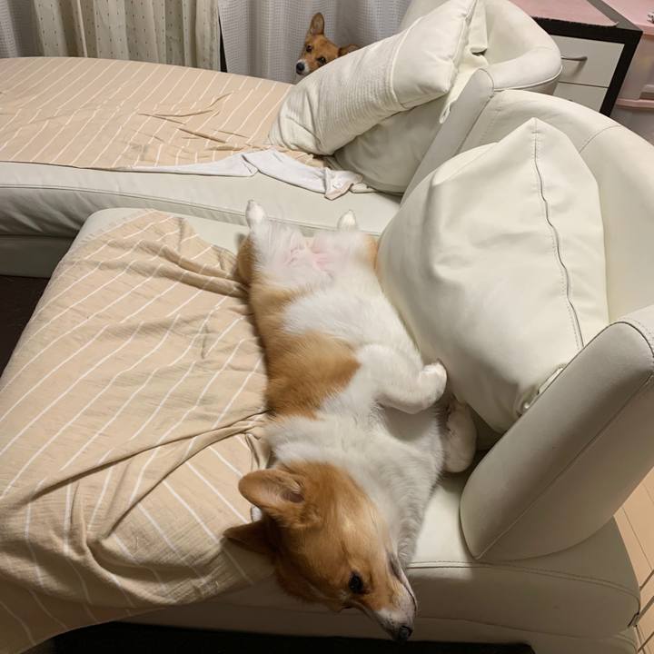 Ab157d48 9fc1 4fc1 b8aa b02d25e0cee6 1561280806368