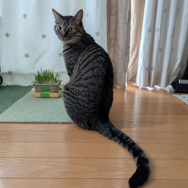 Ab158540 78c2 4cc7 b461 c1bfe5b204f6 1748923657297