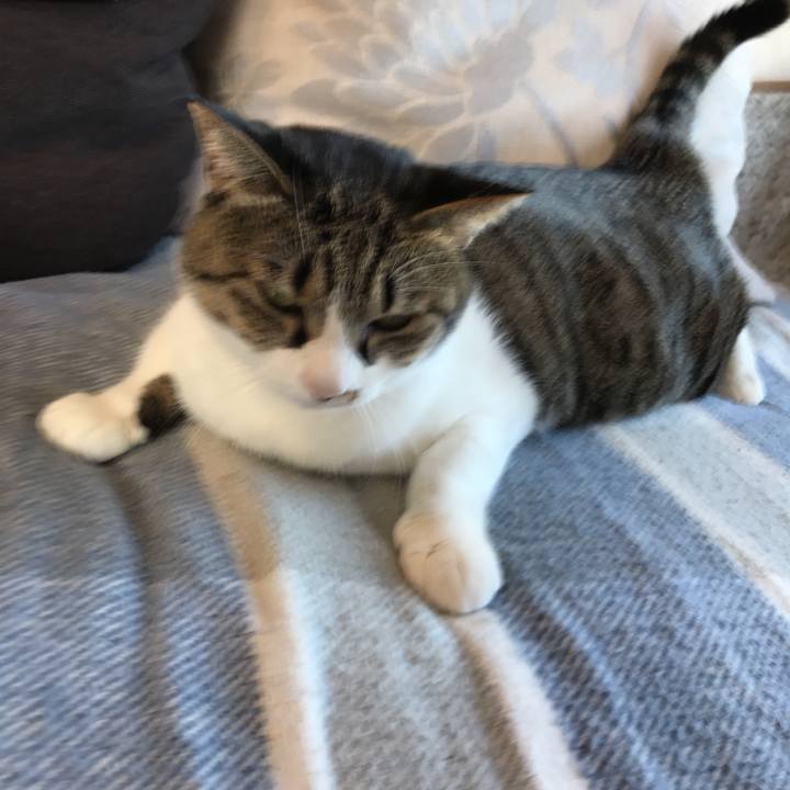 Ab15a8a1 9e98 4c2a 8b86 720641390c81 1515642605733