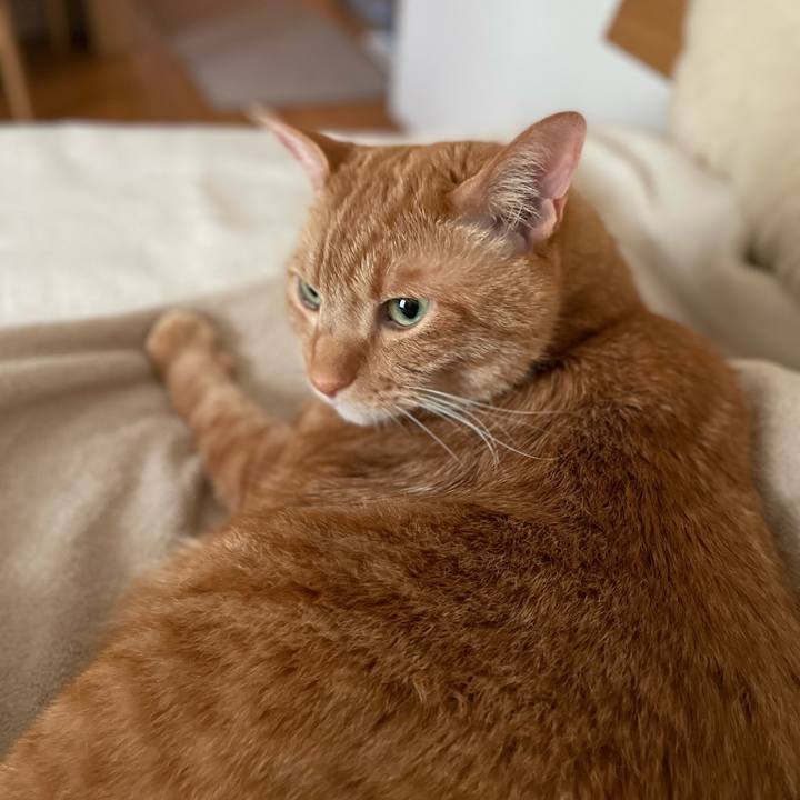 Ab15a971 243f 479b a38b 74c528fc1100 1649987029824