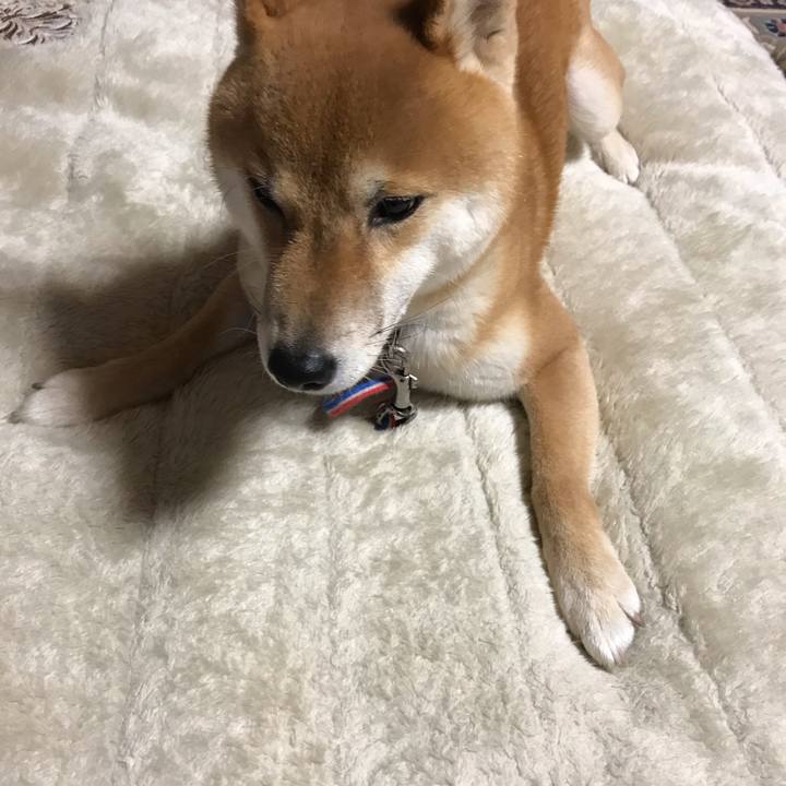 Ab15af78 601a 4717 b5b9 94cb48d22ce6 1581823486160