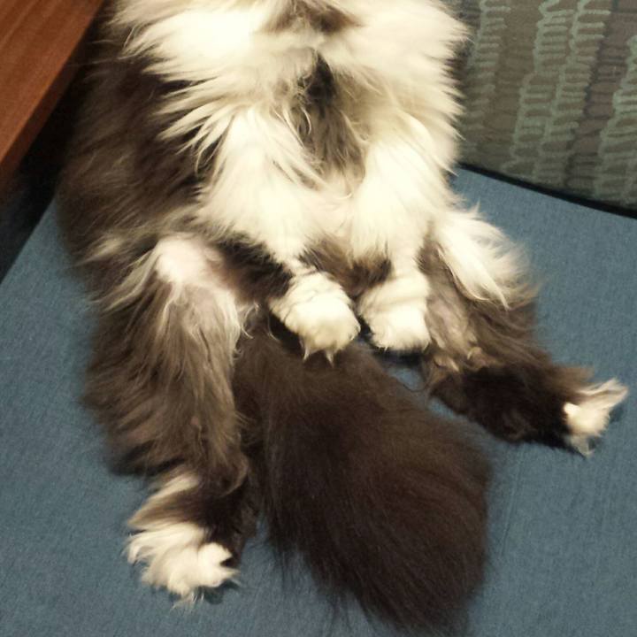 Ab15b86d dc7d 4774 ac00 4e2b1056292c 1523447314615