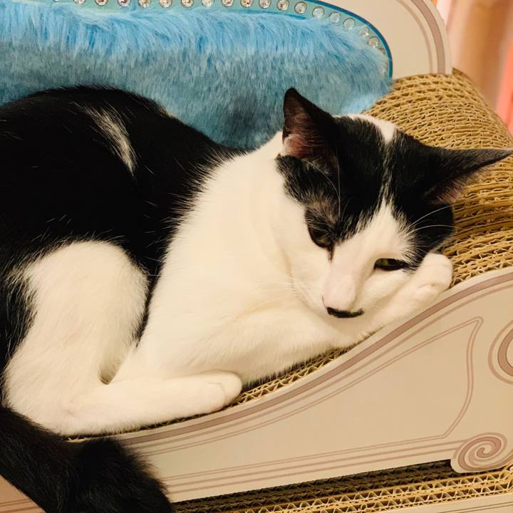 Ab15bfd9 fa43 4df3 9f2d 0d8e1b3fe4ec 1568391373020