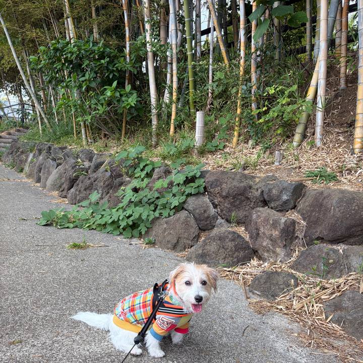 Ab15d28a a0d1 4ebb bb29 056f549d3b4e 1758955282633