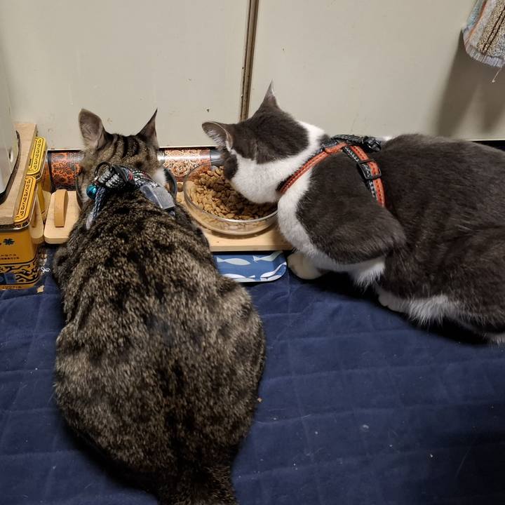 Ab15efc3 bfca 4dc8 ba29 ce33b9219c85 1749011852336