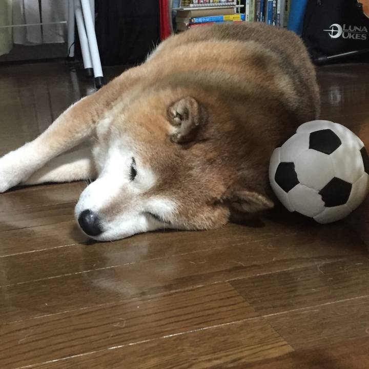 Ab16361d cc44 4b2a 8b4d e5a903c6d3fa 1562503580434