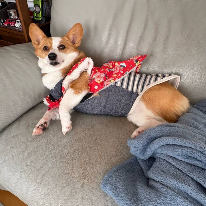 Ab1651d4 a3cb 4a16 b1e7 acb5f305f7bf 1770623709811