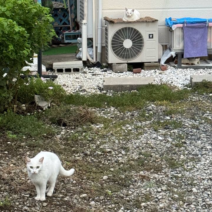 Ab1680d3 02f3 4d84 950e 0aff2314bc12 1757990261734