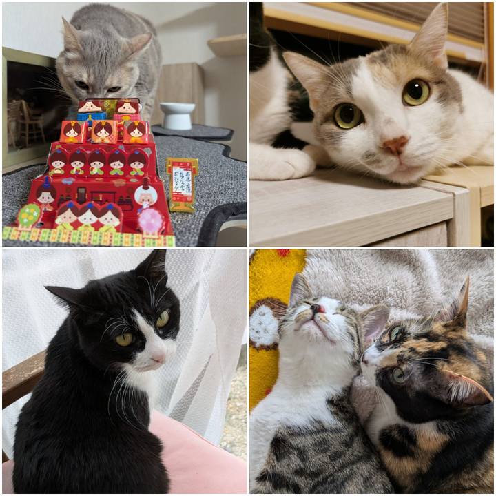 Ab16a5d2 afd8 4d8a 9573 4d676d91b476 1740994981957