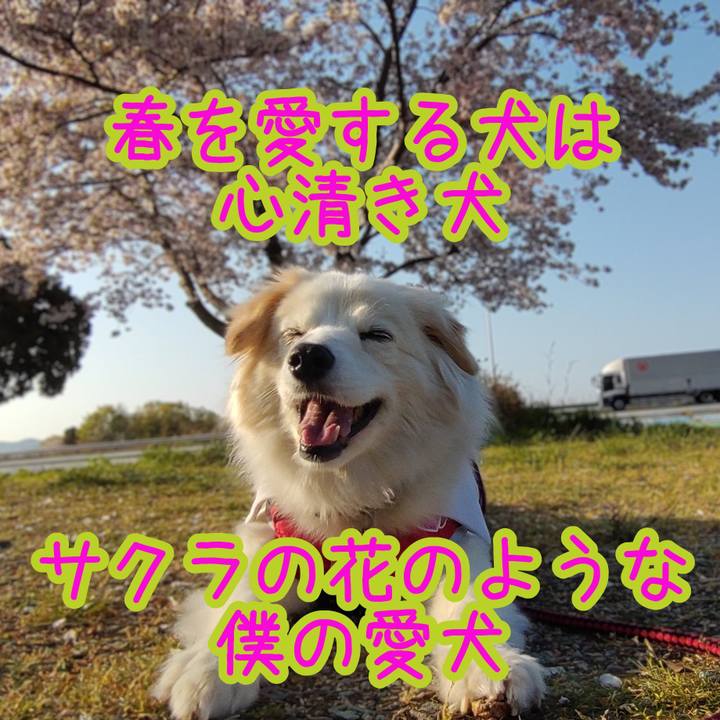 Ab16c68a 57a4 4c34 94be 0038e261b0a0 1671162420604