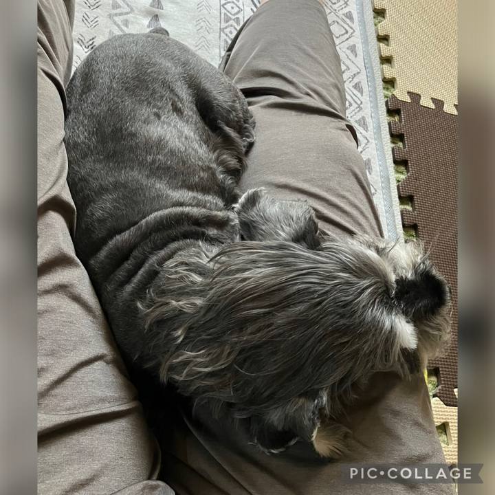 Ab16c6a9 2ec0 43d2 b858 122c498c44c3 1751170148297