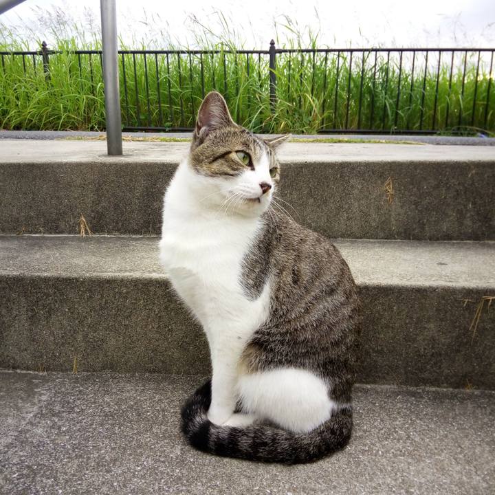 Ab16dbbc 65d1 4eb9 a4aa 0a4d3867f069 1539647889972