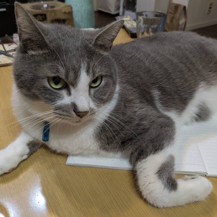 Ab16e5ac ba8a 4fcb 9e5b 54bbea6b7d67 1753446492420