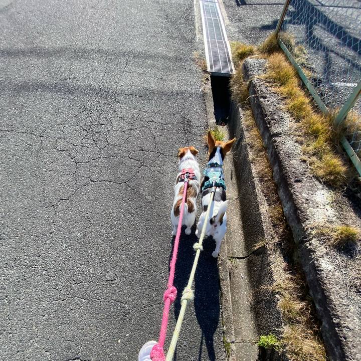 Ab17094c 4059 4712 9280 3d4e1d4e31a5 1764478813751